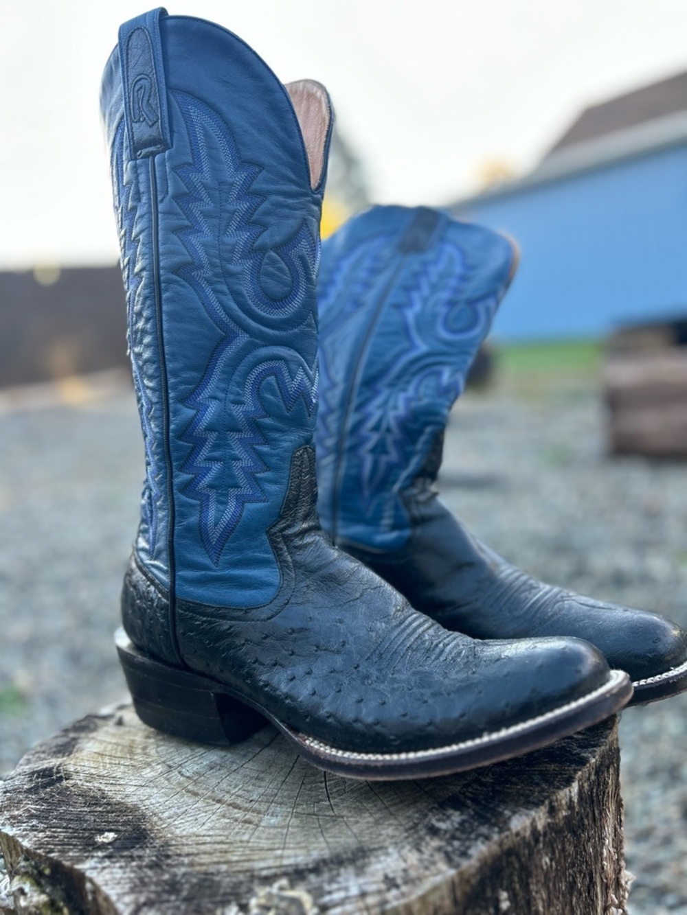 “Come on down cowgirl”